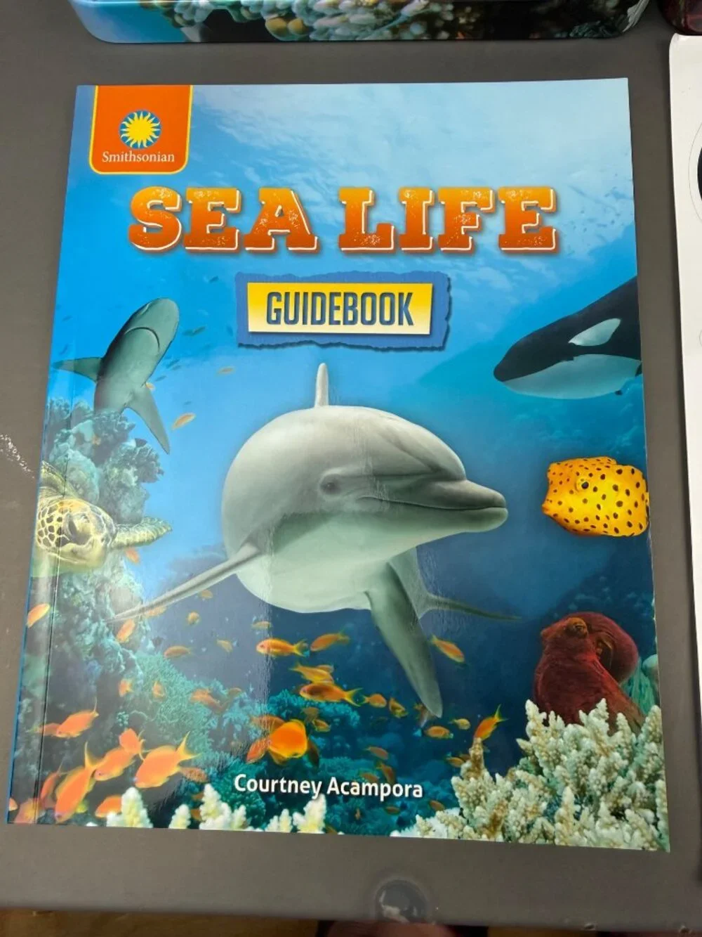 Smithsonian Magnetic Adventures Sea Life Set With Guidebook & Reusable Clings